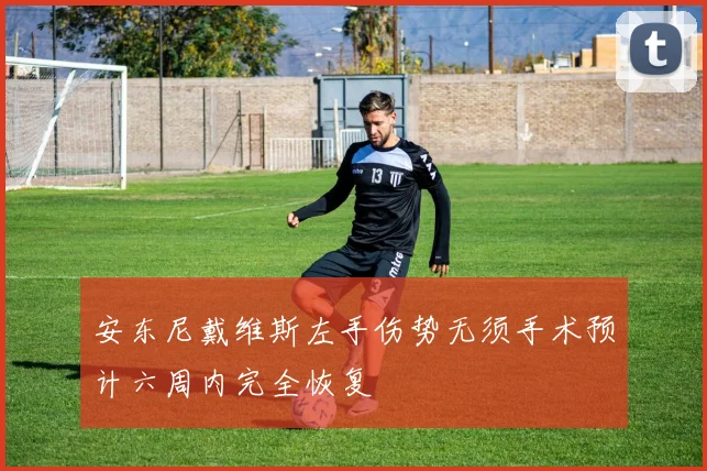 安东尼戴维斯左手伤势无须手术预计六周内完全恢复